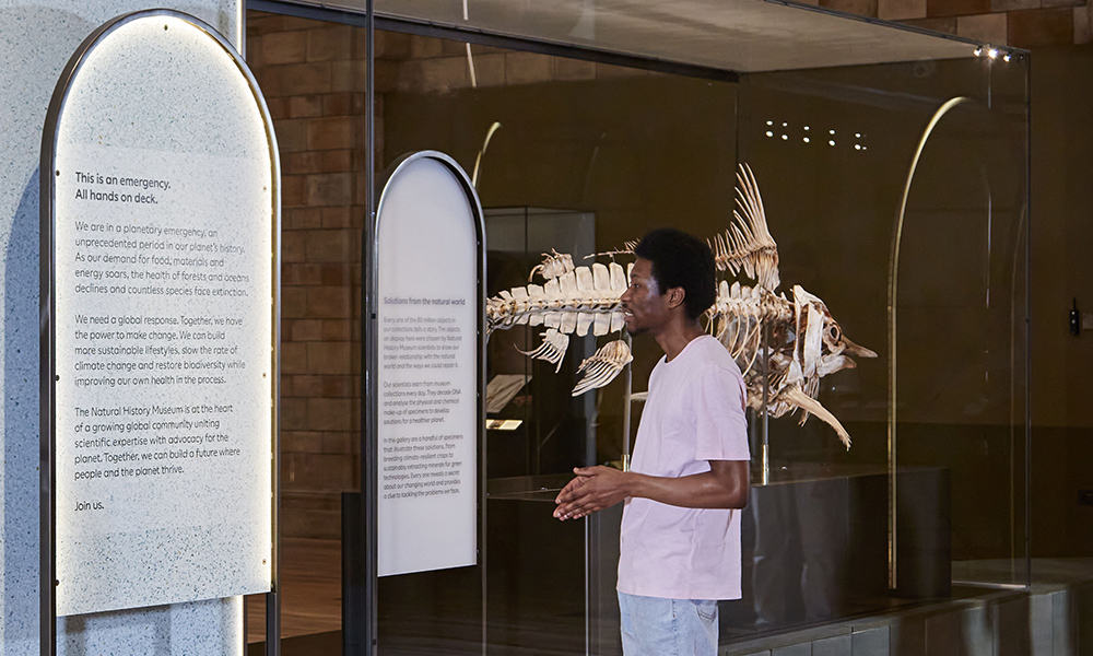 A man reads labels at the exhibition as he stands in front of the skeleton of a marlin