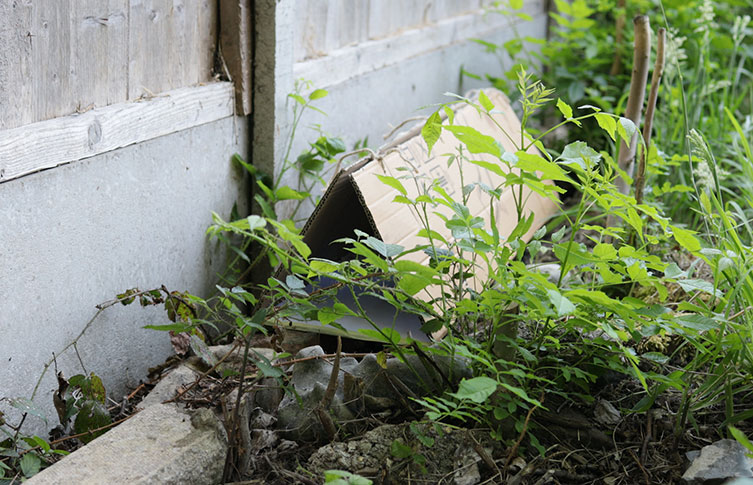 A homemade footprint tunnel set up in a sheltered grassy area beside a fence