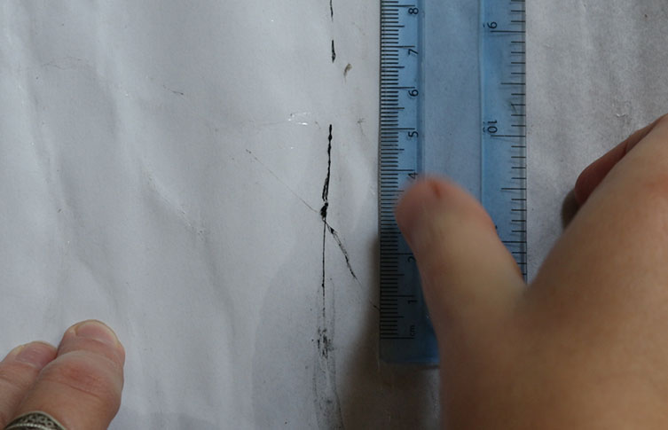 A ruler is used to measure an ink trail left by a slug