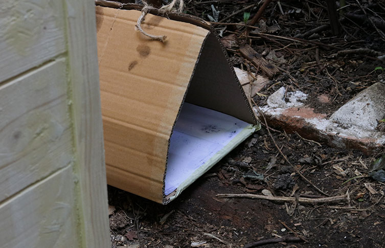 A used footprint tunnel placed alongside a garden shed