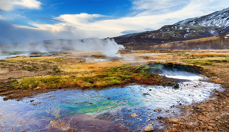 Plants moved onto land in geothermal wetlands