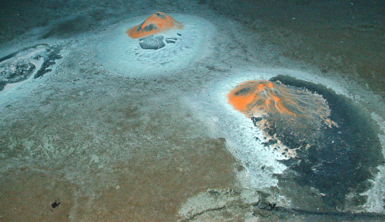 Bacterial mats around cold seeps on the floor of the Arabian Sea