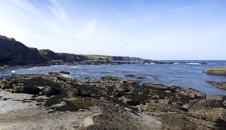 Howick Bay in Northumberland, looking out to sea
