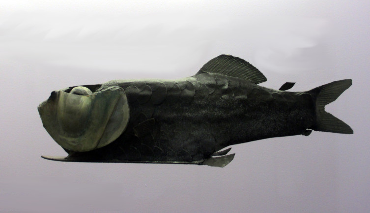 A model of Opisthoproctus soleatus on display in the Museum