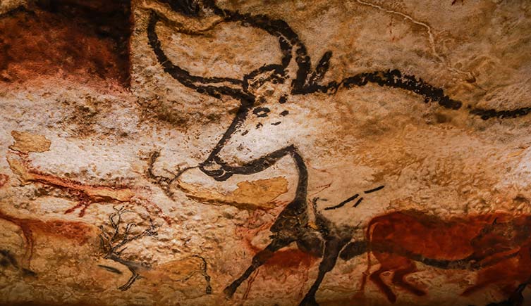 Drawing of an aurochs, a bull-like animal with horns, made with dark pigment on a cave wall