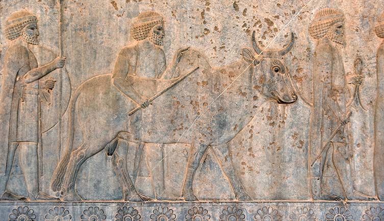 A wall carving of a cow being led by a farmer