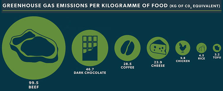 An infographic about the greenhouse gas emissions of our food choices, showing the emissions per kilogramme of food (provided as kg of carbon dioxide equivalent). The figures shown are beef: 99.5, dark chocolate: 46.7, coffee: 28.5, cheese: 23.9, chicken: 9.8, rice: 4.5, tofu: 3.2