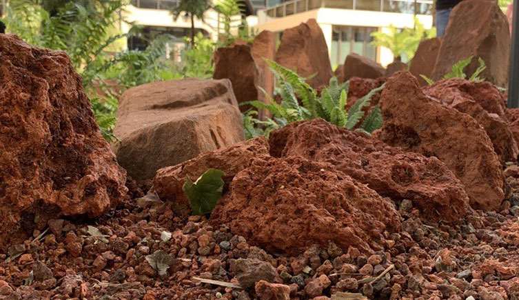 Piles of red, rough-looking rock with ferns growing around it and our building in the background