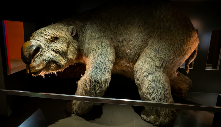 A reconstruction of what Diprotodon could have looked like