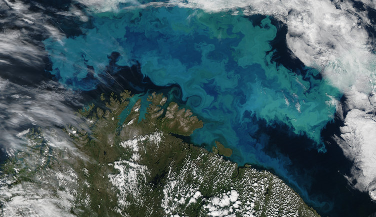 An algal bloom in the Barents Sea north of Norway