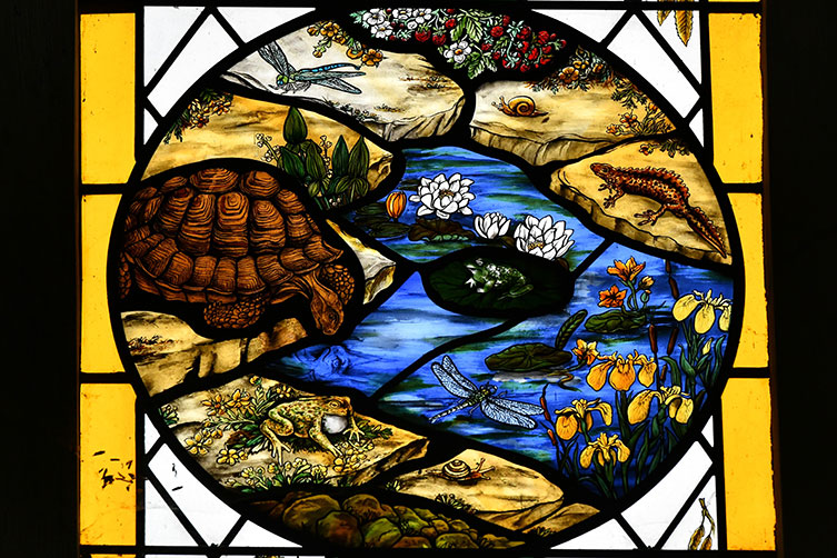 Stained glass window featuring various pond life and a tortoise drinking at the water's edge