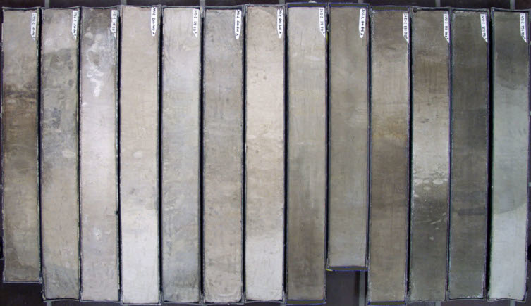 A row of sediment cores.