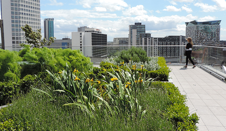 A perso walks across a roof nextto a garden with a city skyline in the background