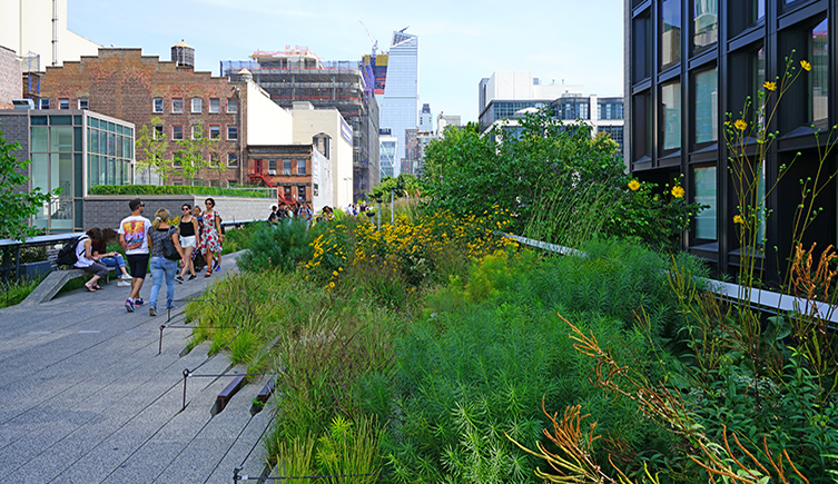 People walk along a path next to green bushes in New York on the highline