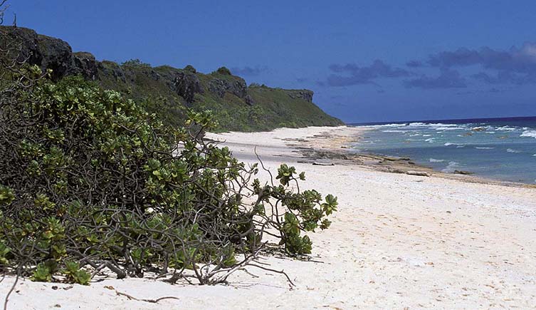Henderson Island before it was covered in plastic pollution