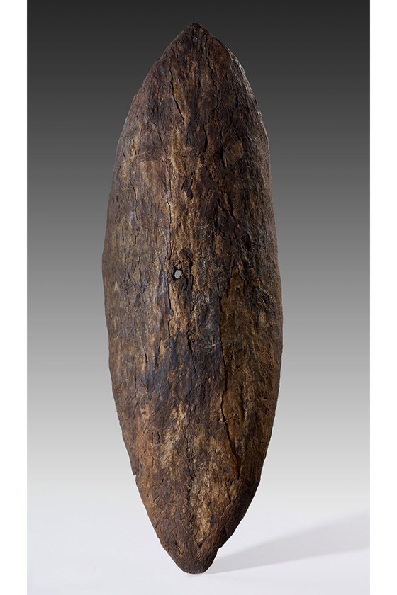 Photograph of a shield with a small hole at its centre