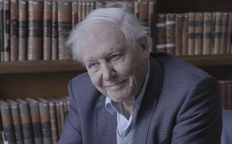 Sir David Attenborough smiles as he sits next to a bookcase