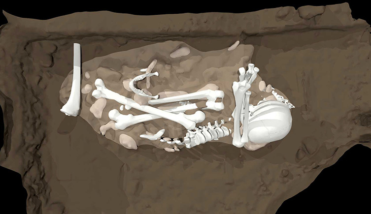 A computer generated reconstuction of the proposed burial, showing the bones in white and the pit in a different colour. 