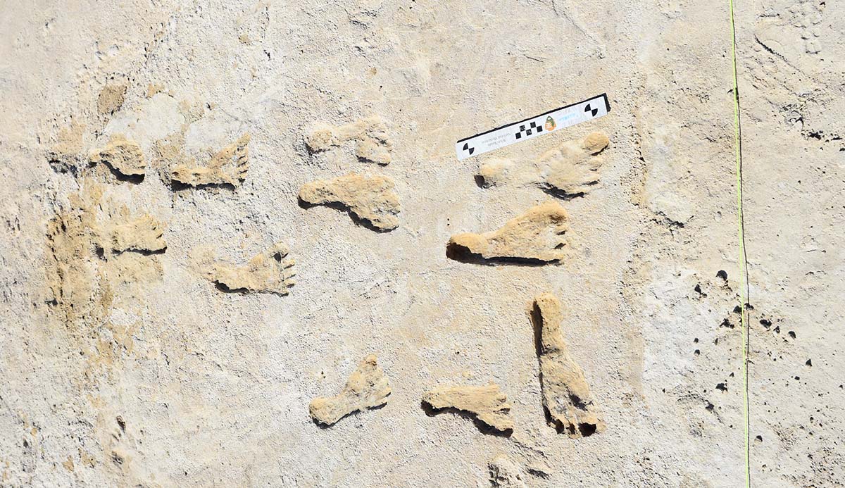 Preserved footprints at White Sands National Park, USA.