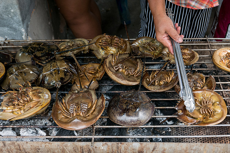 Horseshoe crabs on a barbecue.