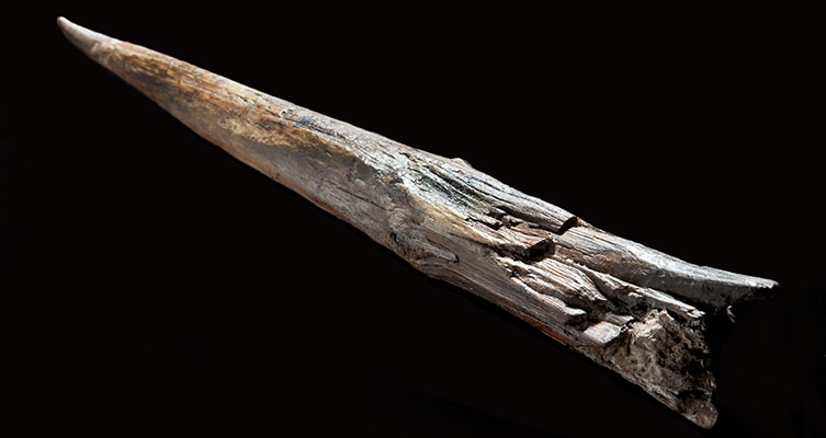 Prehistoric spear tip