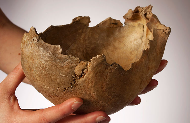 Someone holding a human skull-cup