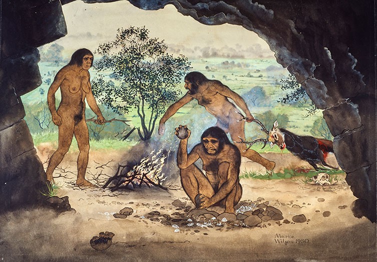 Homo erectus, our ancient ancestor | Natural History Museum