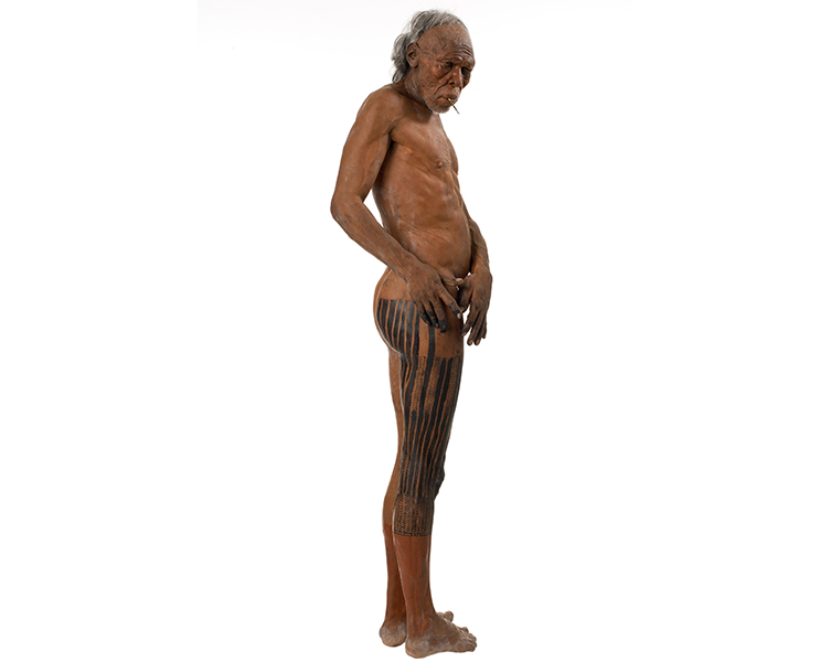Early modern human model by the Kennis brothers