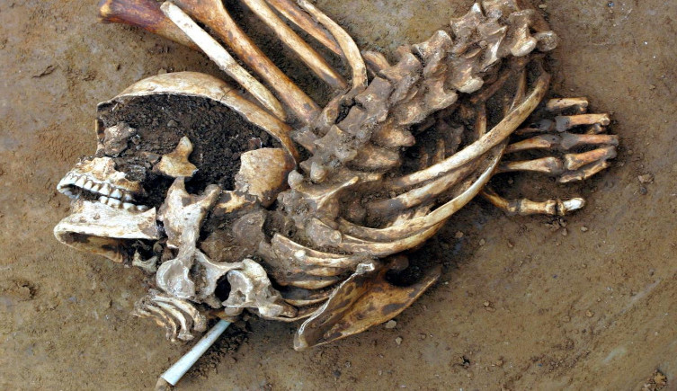 A human skeleton lying on mud