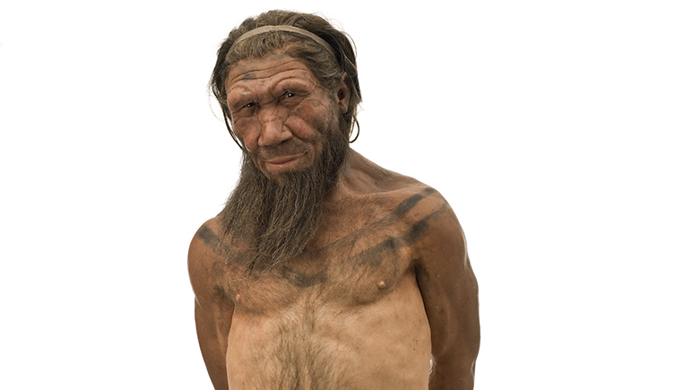 A lifelike reconstruction of a Neanderthal man. He is standing with his hands behind his back, staring at the camera with a slight smile on his face. 