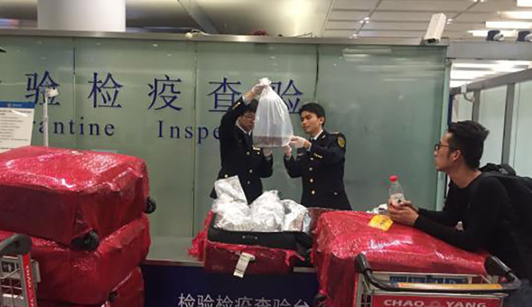 Asian customs officals finding eels in a suitcase
