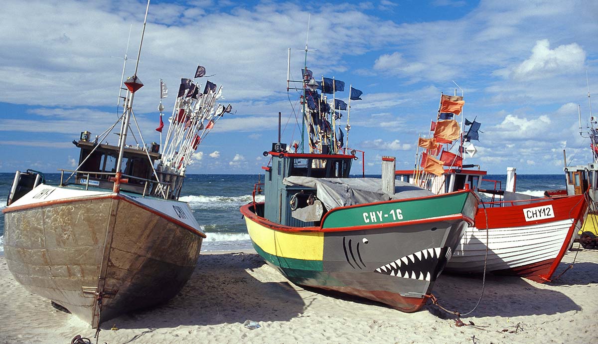 Three colourful boats on a beach, including one with a shark design.