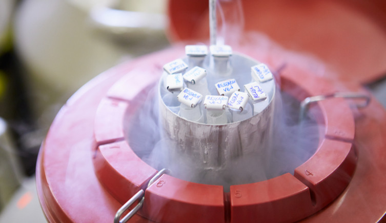 Test tubes in a liqui nitrogen filled container