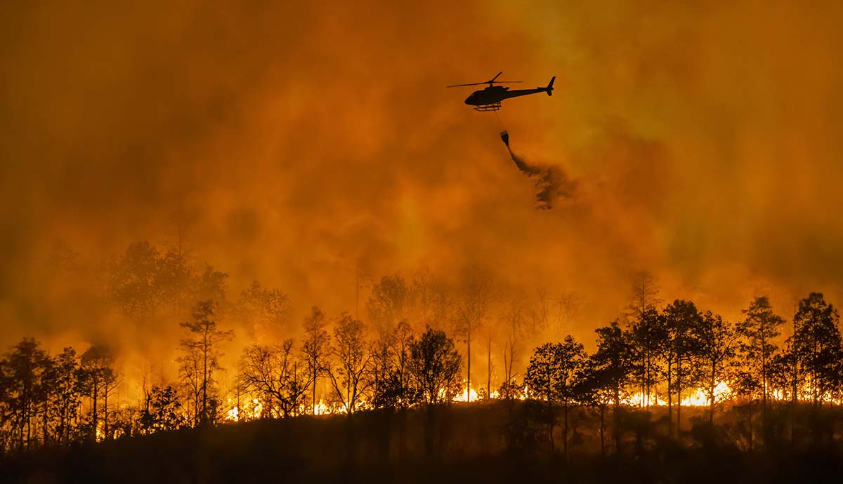 A burning forest in organges and yellows with a helicopter flying over the top dropping water. 
