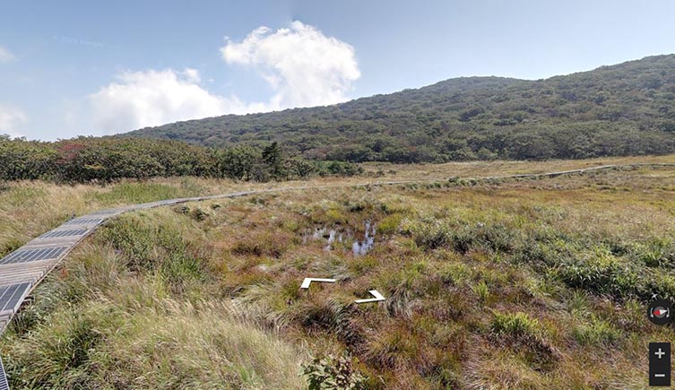 A screen shot from Google street view, showing a walkway making itseway through a wetland in the DMZ, with forested mountains rising in the background. 