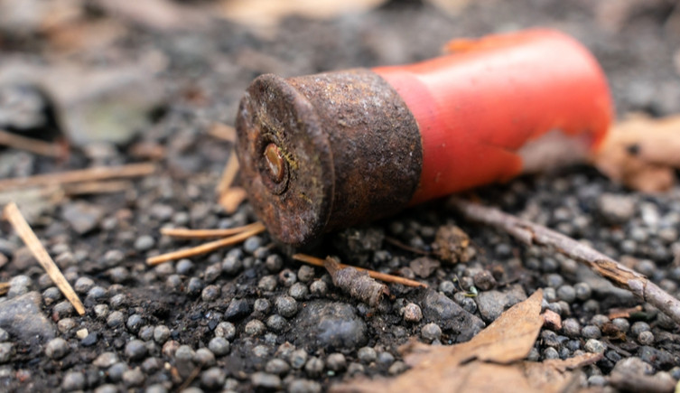 Discarded shotgun cartridge and lead shot