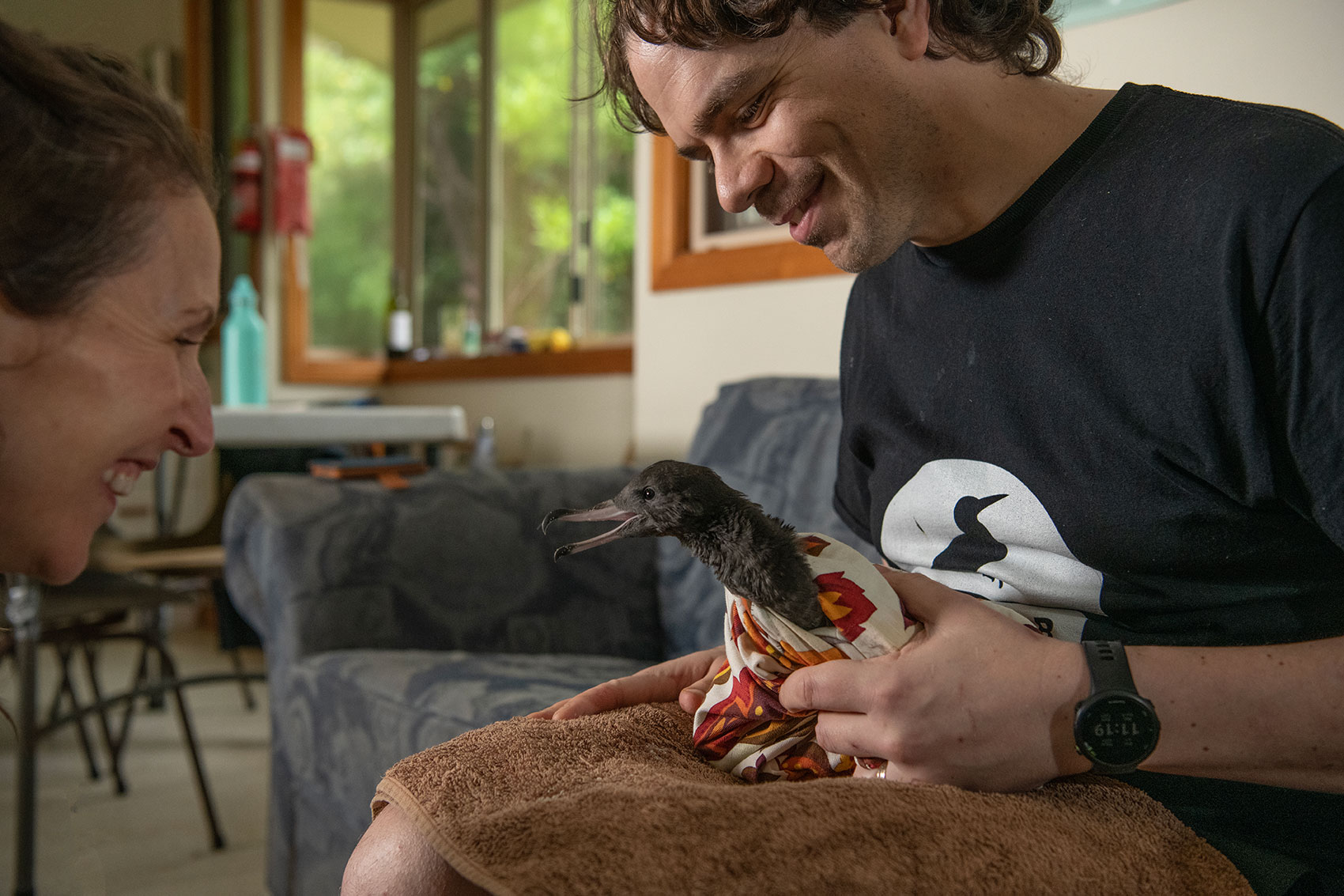 Alex and a colleague rehabilitating a shearwater