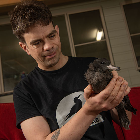 Alex Bond holding a shearwater