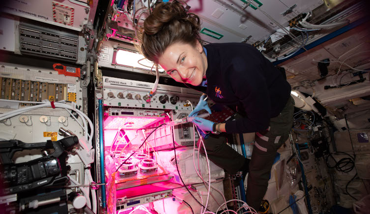 NASA astronaut Kayla Barron floats next to NASA's VEGGIE experiment aboard the International Space Station