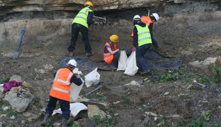 Researchers in high visibility clothing search for dinosaur teeth at Woodeaton.