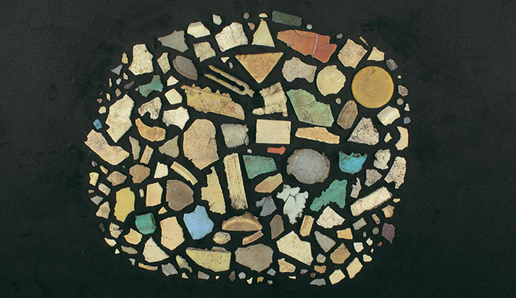 Plastic pieces from the stomach of a bird laid out on black fabric. 