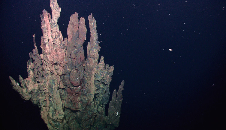 Inactive sulfide chimneys in black water