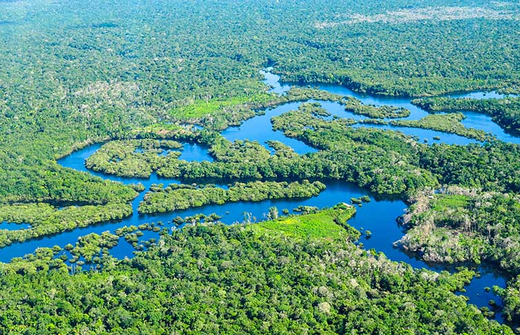 An aerial view of the Amazon rainforest, showing the blue river snaking through the green forest, forming lakes and islands and it goes. 