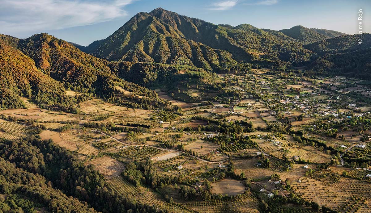 An aerial photograph of avocado plantations surrounded by mountain forests