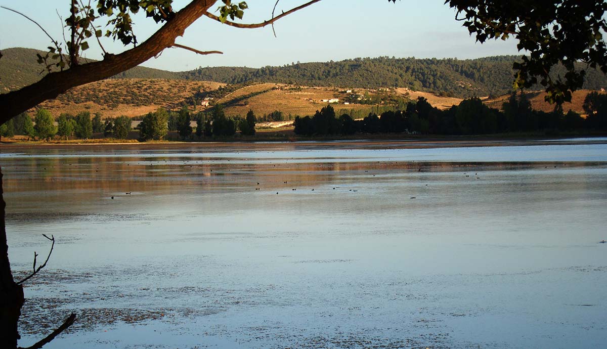Birds float on the surface of Lake Aoua.