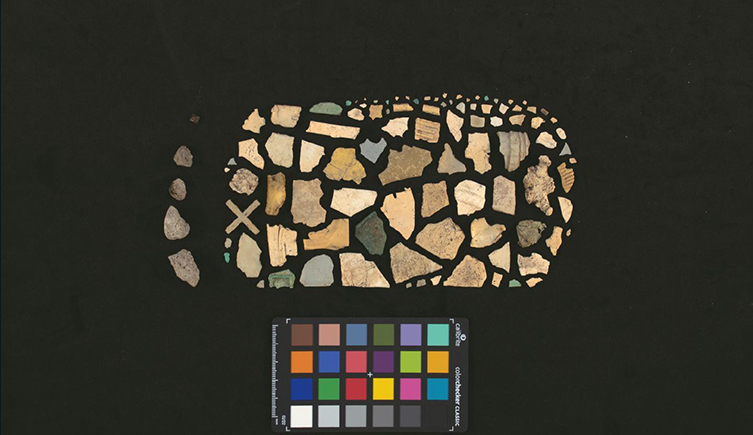 Pieces of plastic removed from a bird