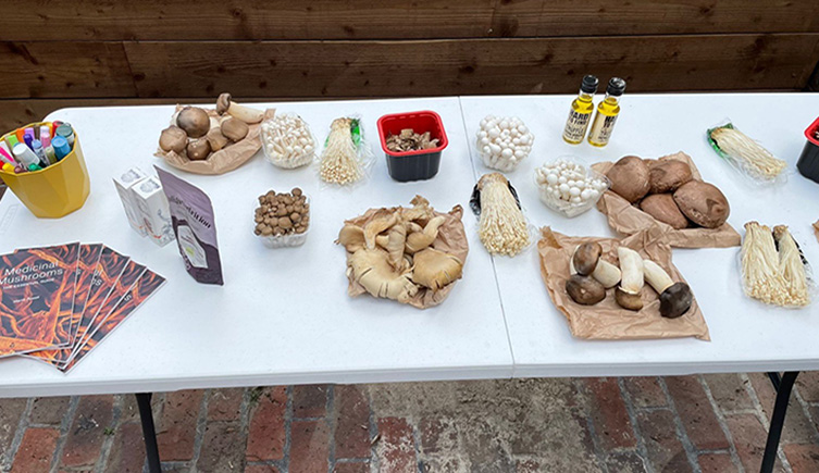A table with mushrooms on it