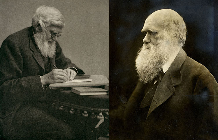 Side by side black and white photographs of Alfred Russel Wallace and Charles Darwin.
