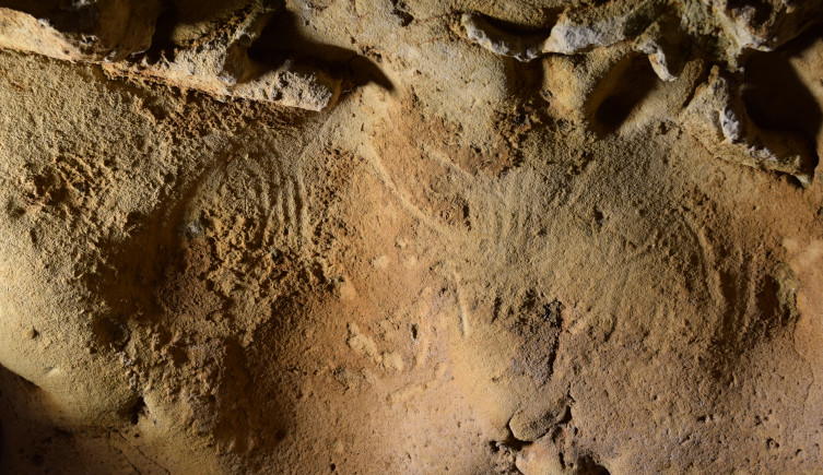 Finger traces photographed on the walls of the cave.