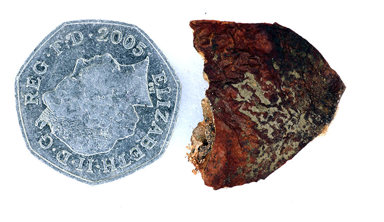A 50p coin next to a similarly sized fragment of brown seedpod. 